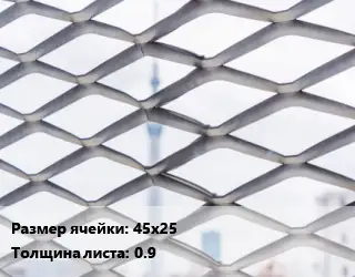 Сетка ЦПВС 45х25 s=0.9